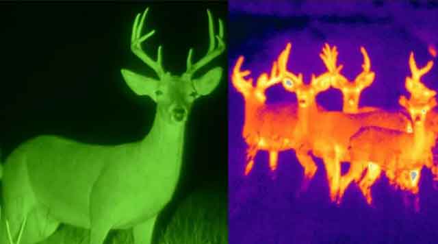 Night vision imaging VS thermal imaging