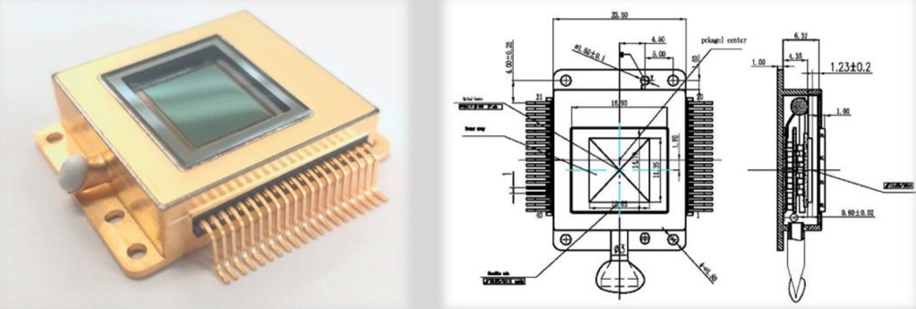 InGaAs Short Wave Infrared FPA Detector